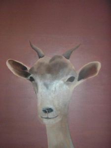 patrick gourgouillat - "Photomaton : chèvre" - 2004