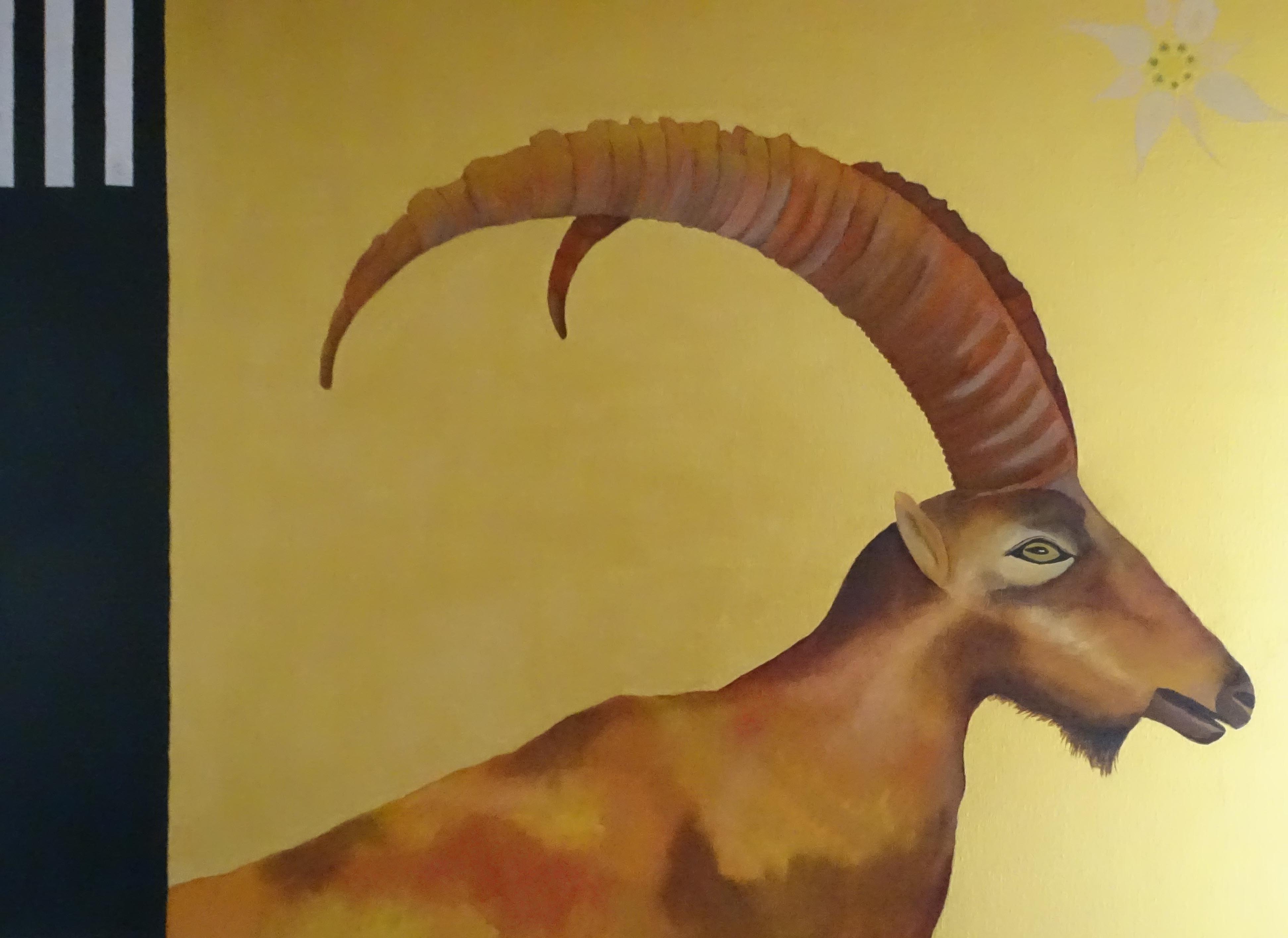 patrick gourgouillat - "Ibex [Animals]" - 2012