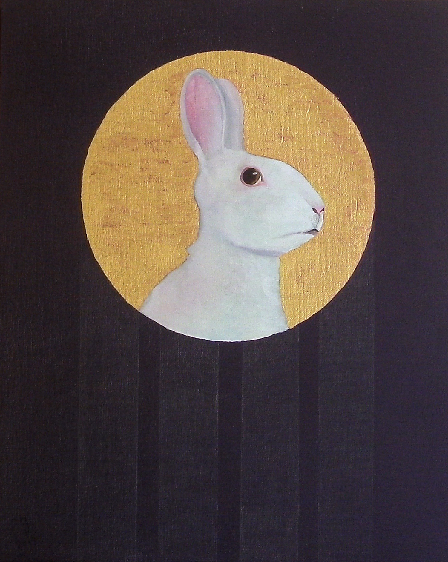 patrick gourgouillat - "Albino Rabbit And The Parallel Lines [Animals]" - 2019